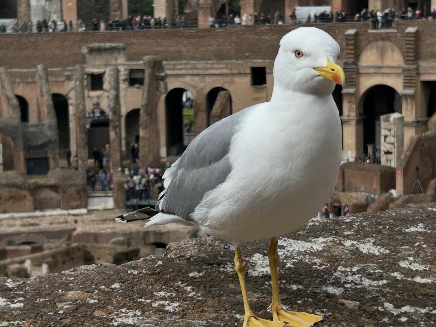 1.イタリア初日