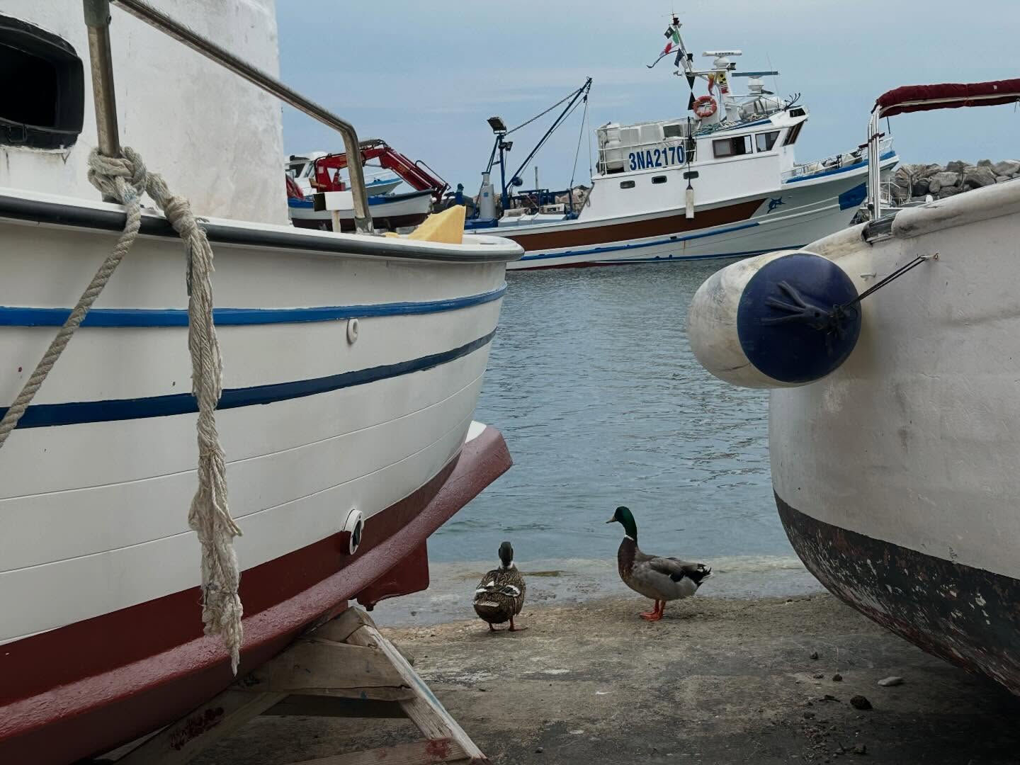 13.イタリア4日目　　PROCIDA
