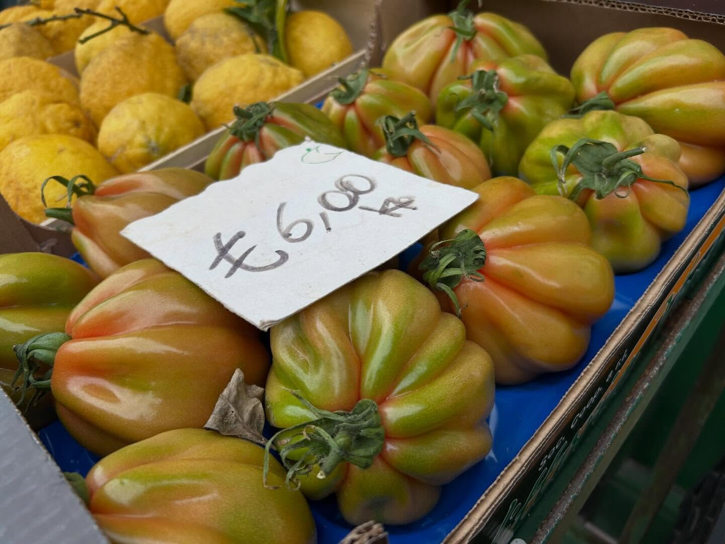 13.イタリア4日目　　PROCIDA